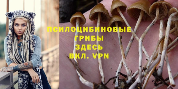 экстази Алексеевка